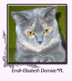 Emili-Elisabeth Domisie*PL